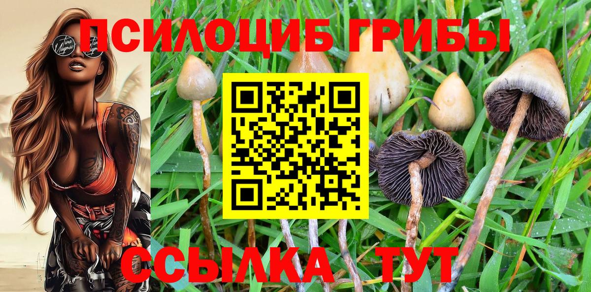 Псилоцибиновые грибы MAGIC MUSHROOMS Керчь